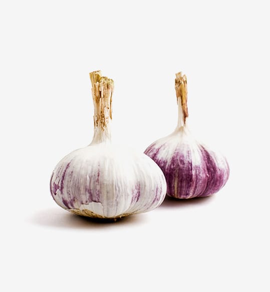 Picked With Pride - Image 3